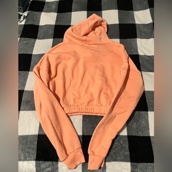 Colorado Cropped Hoodie - Picture 2 of 3